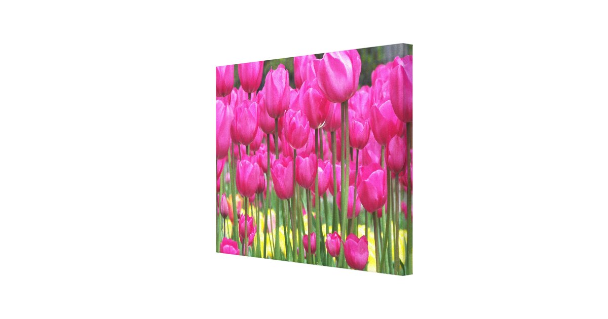 Pink Tulips Floral Canvas Print | Zazzle