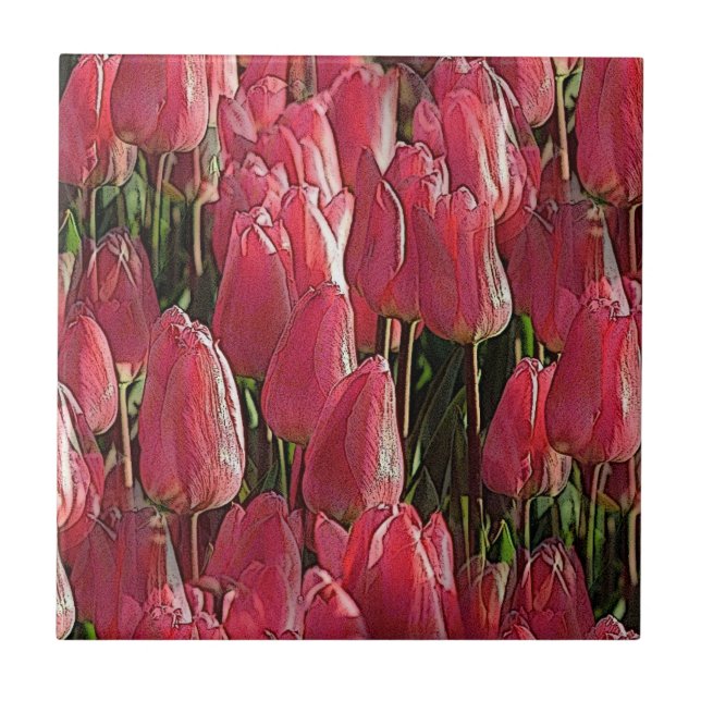 Pink Tulips Floral Ceramic Tile (Front)