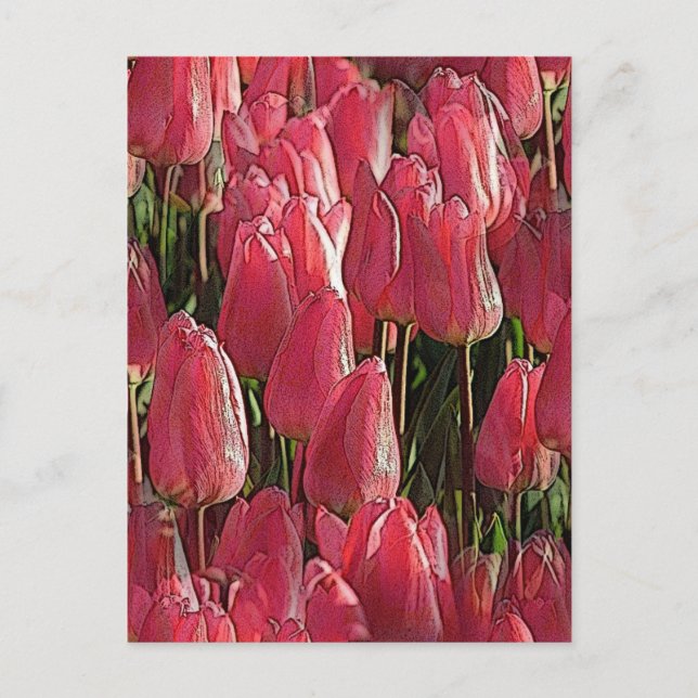 Pink Tulips Floral Postcard (Front)