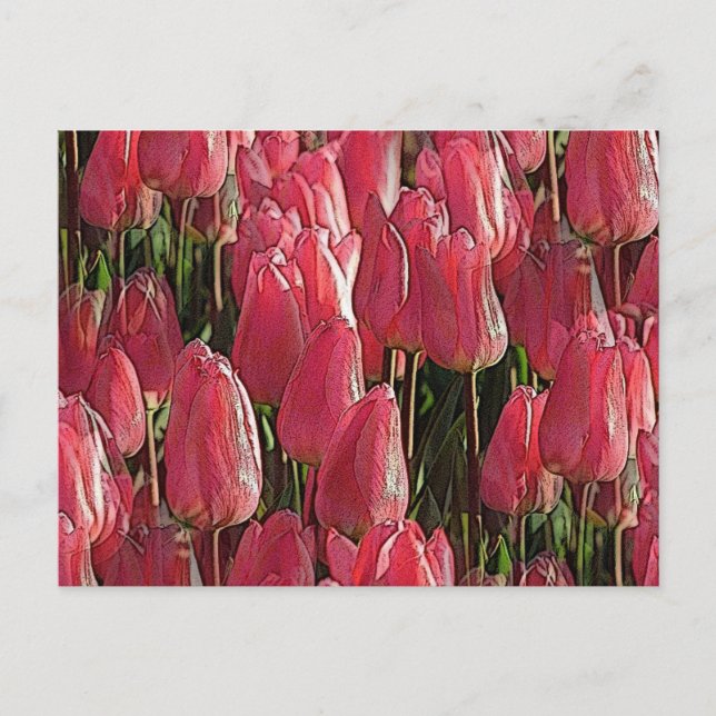 Pink Tulips Floral Postcard (Front)