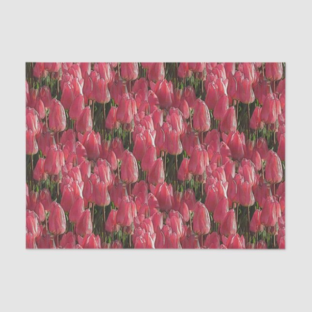Pink Tulips Floral Tissue Paper (Front)