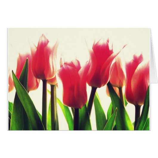Pink Tulips Flowers Cards (Front Horizontal)