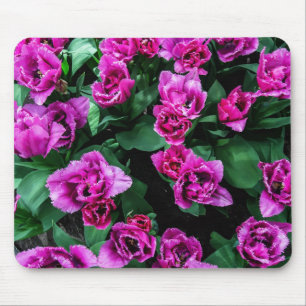 Pink tulips flowers mouse pad