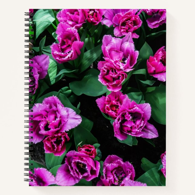 Pink tulips flowers notebook (Front)