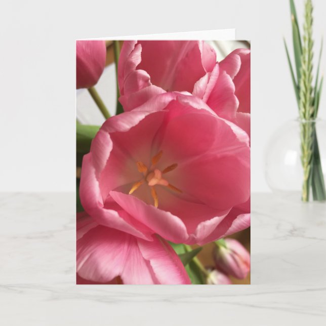 Pink Tulips Greeting Card (Front)
