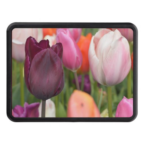 Pink Tulips Hitch Cover