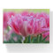 Pink Tulips In Bloom