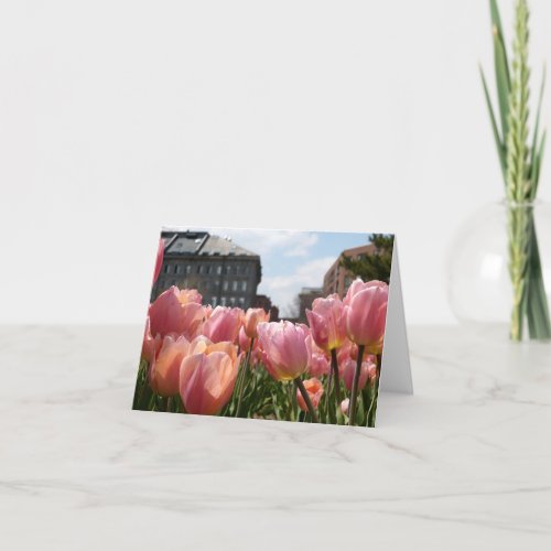 Pink Tulips in Boston Note Card