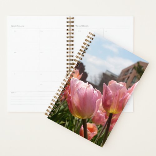 Pink Tulips in Boston Planner