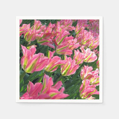 Pink Tulips In Full Bloom Paper Napkin