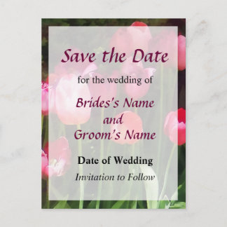 Pink Tulips in Garden Save the Date Announcement Postcard