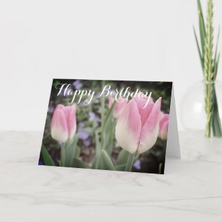 Pink Tulips in the Garden Birthday Card