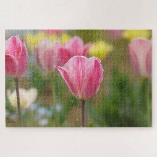 Pink tulips  jigsaw puzzle