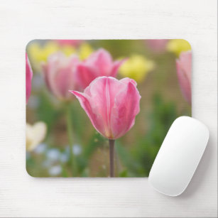 pink tulips  mouse pad