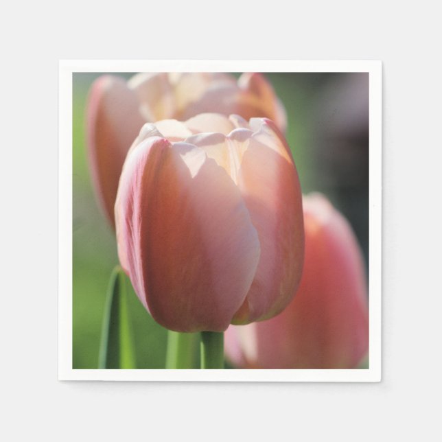 Pink Tulips   Napkins (Front)