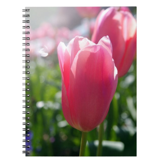 Pink tulips notebook (Front)