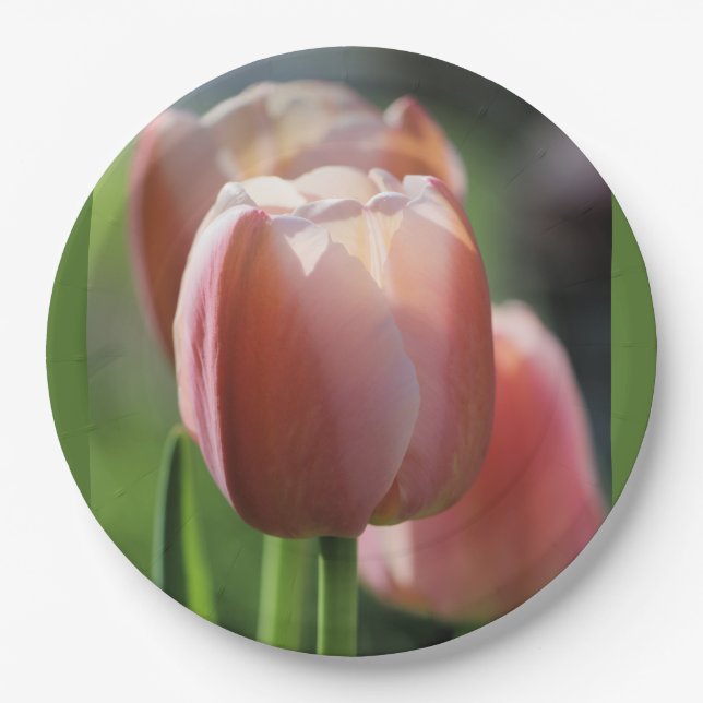 Pink Tulips Paper Plates (Front)