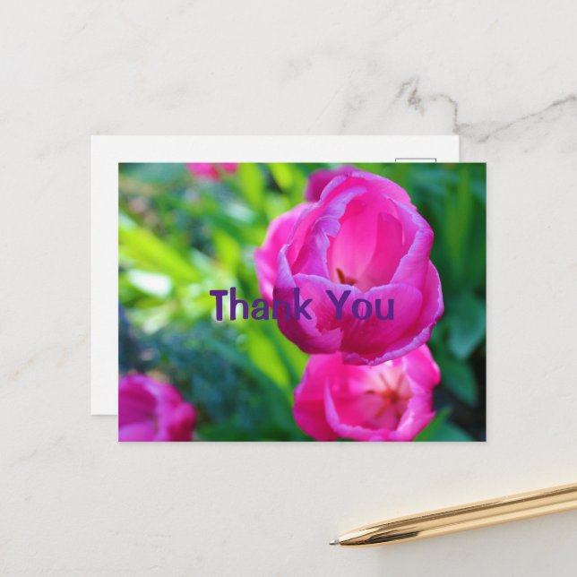 Pink Tulips Postcard (Front/Back In Situ)