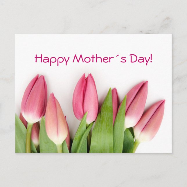 Pink tulips postcard (Front)