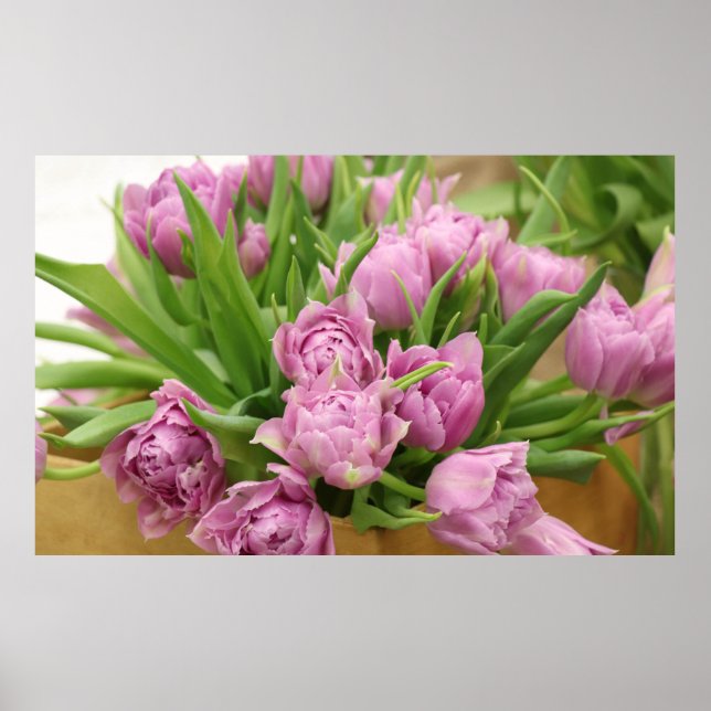 Pink Tulips Poster (Front)