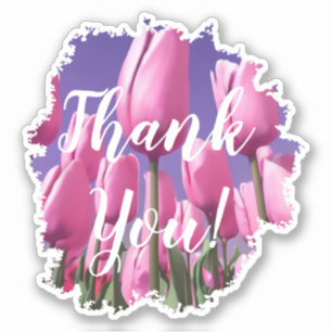 Pink Tulips Thank You Sticker