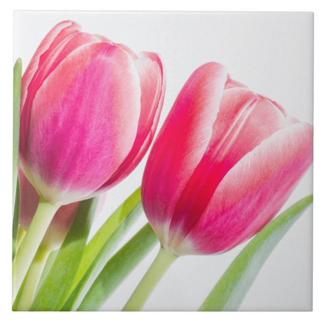 Pink Tulips with Green Leaves Photo Ceramic Tile (Front)