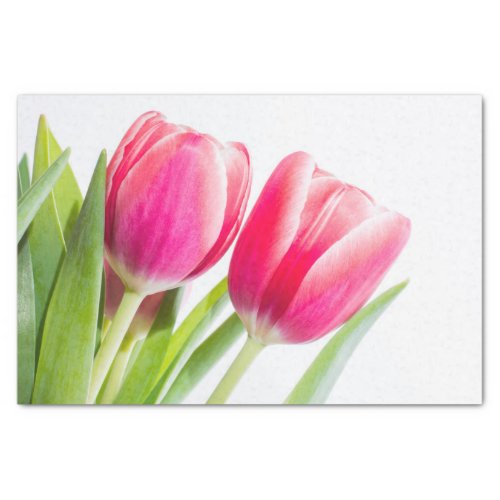 Pink Tulips with Green Leaves Photo Tissue Paper