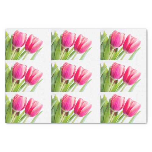 Pink Tulips with Green Leaves Photo Tissue Paper