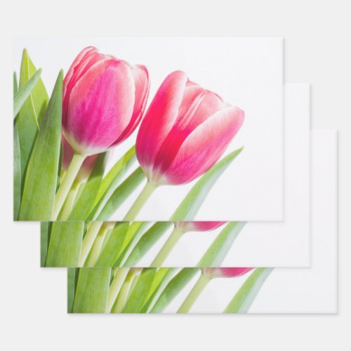 Pink Tulips with Green Leaves Photo Wrapping Paper Sheets