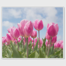 Pink Tulips Wrapping Paper 