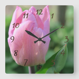 pink tulpis flower spring blossom square wall clock