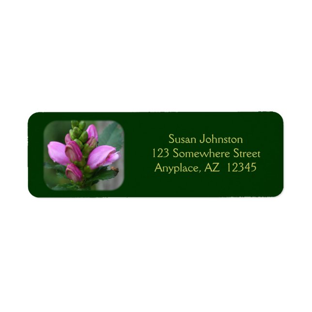 Pink Turtlehead Flower Address Label (Front)