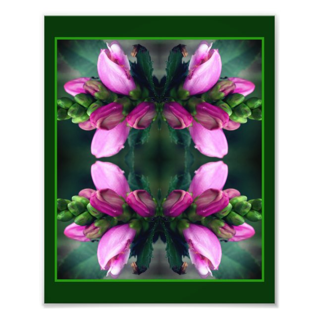 Pink Turtlehead Flower Mirror Abstract 8x10 Photo Print (Front)