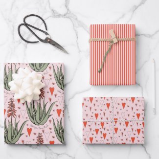 Pink Valentines Aloe Succulents Stripes Hearts
