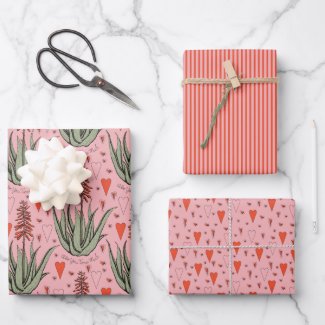 Pink Valentines Aloe Succulents Stripes Hearts