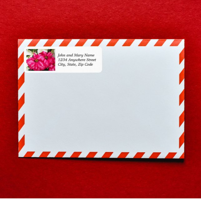 Pink Variegated Poinsettias Holiday Address Label (In Situ Envelope)