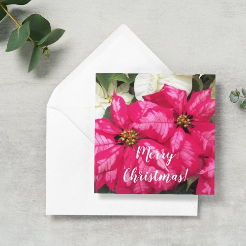 Pink Variegated Poinsettias Personalized Holiday Note Card