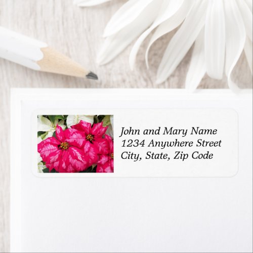 Pink Variegated Poinsettias Return Address Label