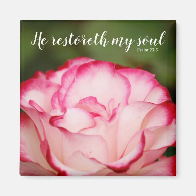 Pink Variegated Rose Psalm 23:3 Scripture Magnet (Front)