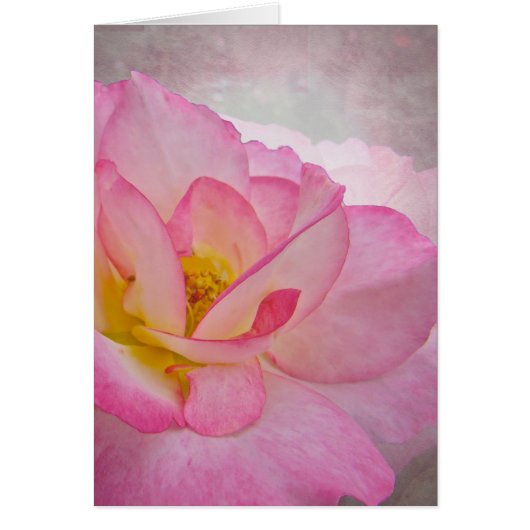 Pink Victorian Rose Cards (Front)