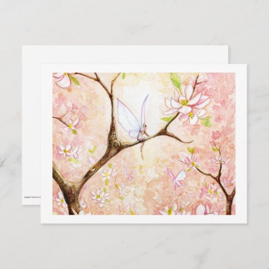 Pink View Blossom (Front/Back)