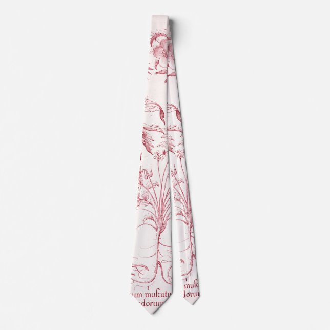Pink Vintage Botanical Art Neck Tie (Front)