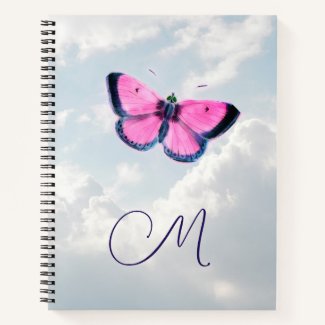 pink vintage butterfly& blue sky