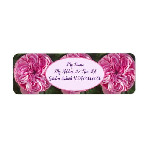 Pink Vintage Cabbage Rose Flower Floral Label