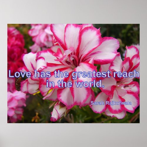 Pink Vintage Geranium Garden Flowers Love Poster