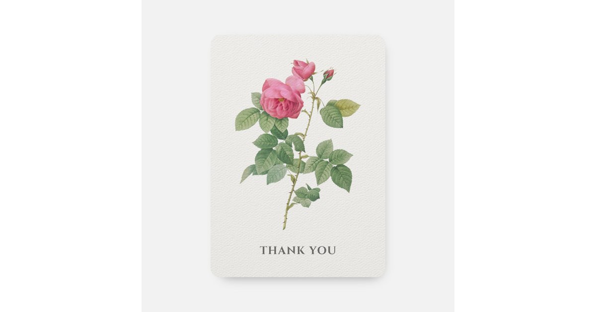 Pink Vintage Rose Botanical Thank You Card | Zazzle