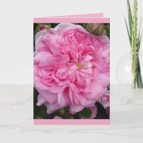Pink Vintage Rose floral Flowers Birthday Card