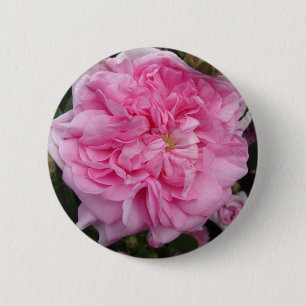 Pink Vintage Rose floral Flowers Button