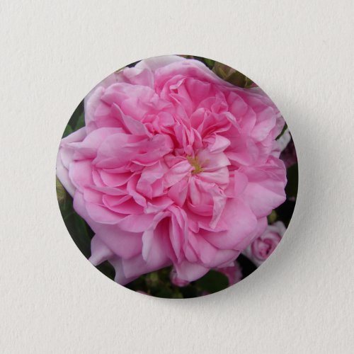 Pink Vintage Rose floral Flowers Button