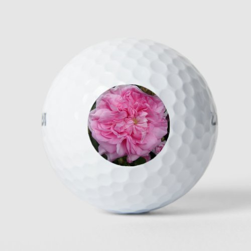 Pink Vintage Rose floral Flowers Golf Balls